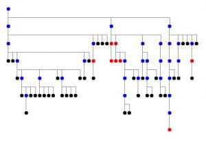 GEM structure